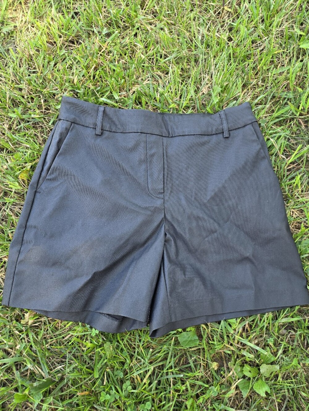 Nwt I Love Tyler Madison (iltm)Gatsby Tailored Shorts